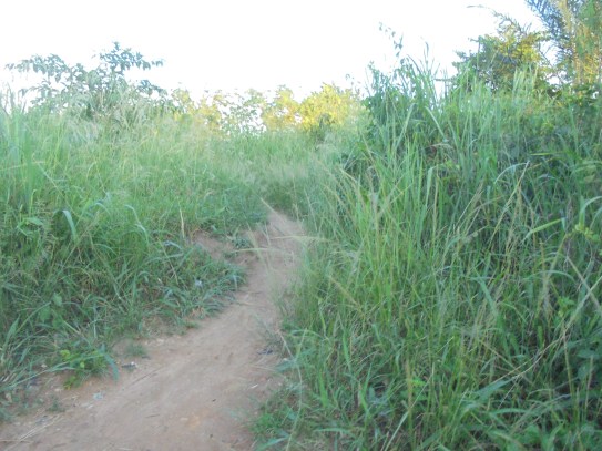 2017 5 29 path through Effiduase