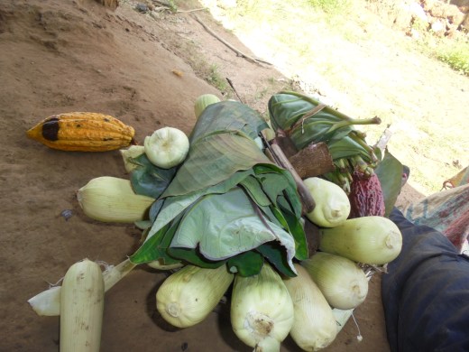 2017 7 10 Fresh picked Vegetables